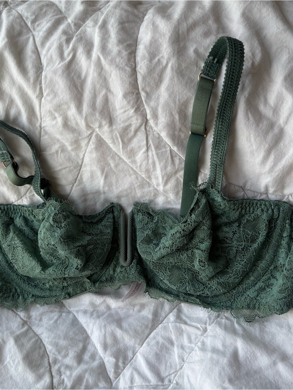 Auden Lace Underwire Bra in Forest Green